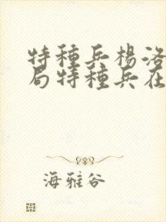 特种兵杨洛大结局特种兵在都市