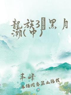 龙族3·黑月之潮(中)