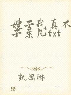 嫂子我真不是傻子叶凡txt