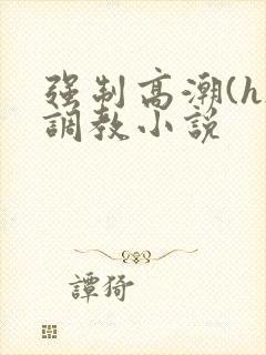 强制高潮(h)调教小说