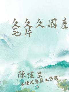 久久久国产精品毛片