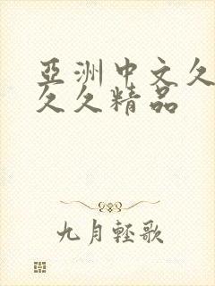 亚洲中文久久久久久精品