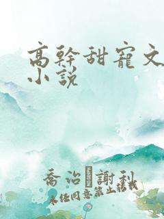 高干甜宠文短篇小说