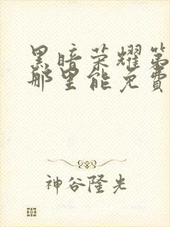 黑暗荣耀第二季那里能免费看