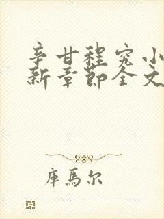 辛甘程究小说最新章节全文免费阅读