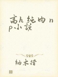 高h 纯肉 np小说