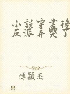 小说穿书后我把反派弄哭了