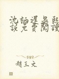 沈栖迟晏熙宁小说免费阅读最新章节