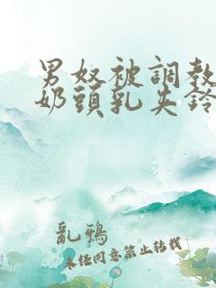 男奴被调教折磨奶头乳夹铃铛