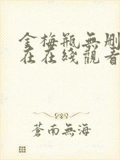 金梅瓶无删减版在在线观看