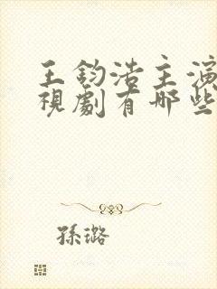 王钧浩主演的电视剧有哪些