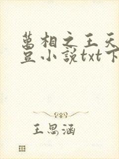 万相之王天蚕土豆小说txt下载