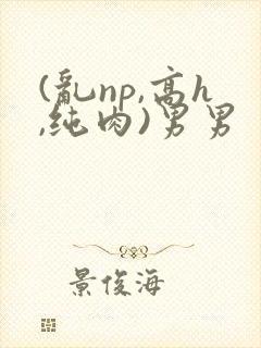 (乱np,高h,纯肉)男男