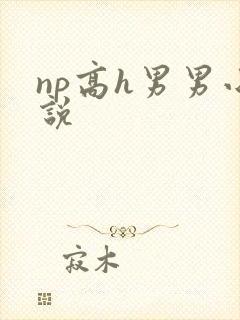 np高h男男小说