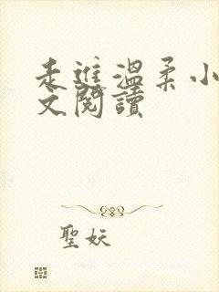 走进温柔小说全文阅读