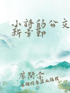 小诗的公交车最新章节