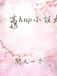 高hnp小说大奶