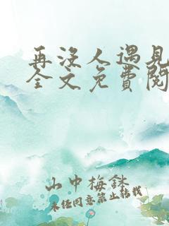 再没人遇见小说全文免费阅读