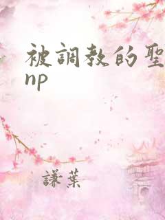 被调教的圣子文np