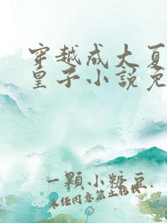 穿越成大夏国九皇子小说免费阅读