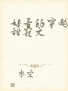 好看的穿越小说甜宠文