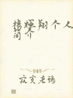 杨辉翔个人资料简介