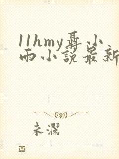11hmy聂小雨小说最新章节更新时间
