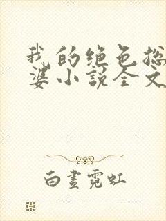 我的绝色总裁老婆小说全文免费阅读