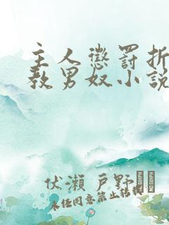 主人惩罚折磨调教男奴小说