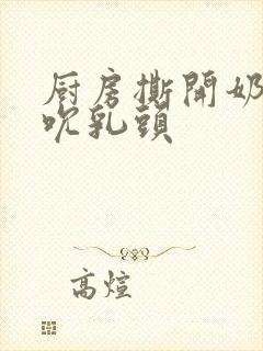 厨房撕开奶罩揉吮乳头