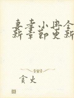 妻孝小冉全文最新章节更新时间