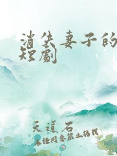 消失妻子的秘密短剧