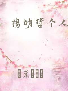 杨明哲个人简介