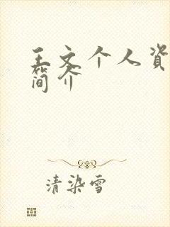 王文个人资料及简介