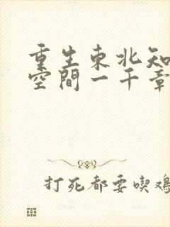 重生东北知青有空间一千章