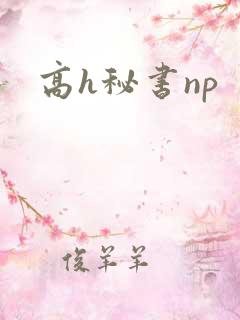 高h秘书np