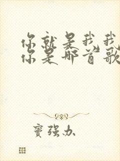 你就是我我就是你是哪首歌的歌词