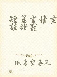 短篇言情完结小说甜宠