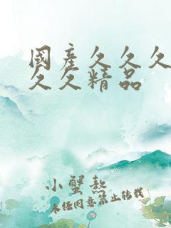 国产久久久久久久久精品