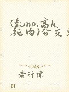 (乱np,高h,纯肉)公交车群p