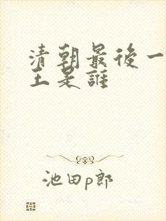 清朝最后一个帝王是谁