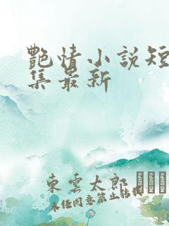 艳情小说短篇合集最新