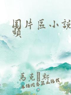 图片区小说区视频