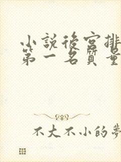 小说后宫排行榜第一名质量高