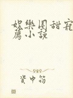 娱乐圈甜宠文推荐小说