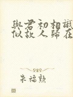 与君初相识·恰似故人归在线观看