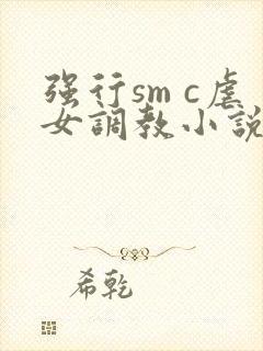 强行sm c虐女调教小说