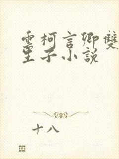 云柯言卿双男主生子小说