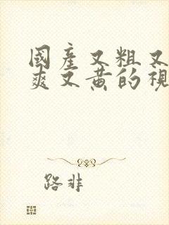 国产又粗又猛又爽又黄的视频一区