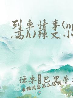 列车情事(np,高h)辣文小